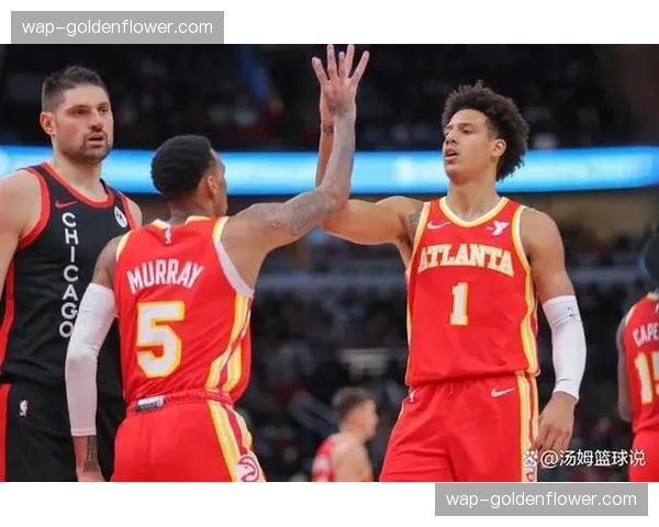 猛龙老鹰战绩相同竞争激烈 亚特兰大进攻效率更优